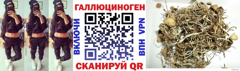 Галлюциногенные грибы Psilocybine cubensis  Купить  Ак-Довурак 